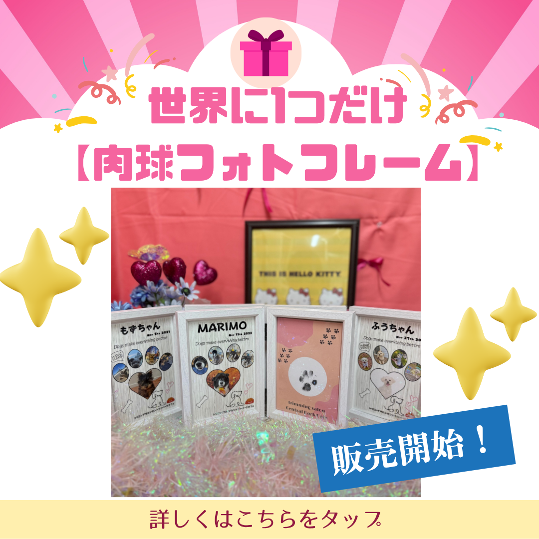 ベージュ シンプル 新商品 インスタグラム投稿(正方形) (1).png