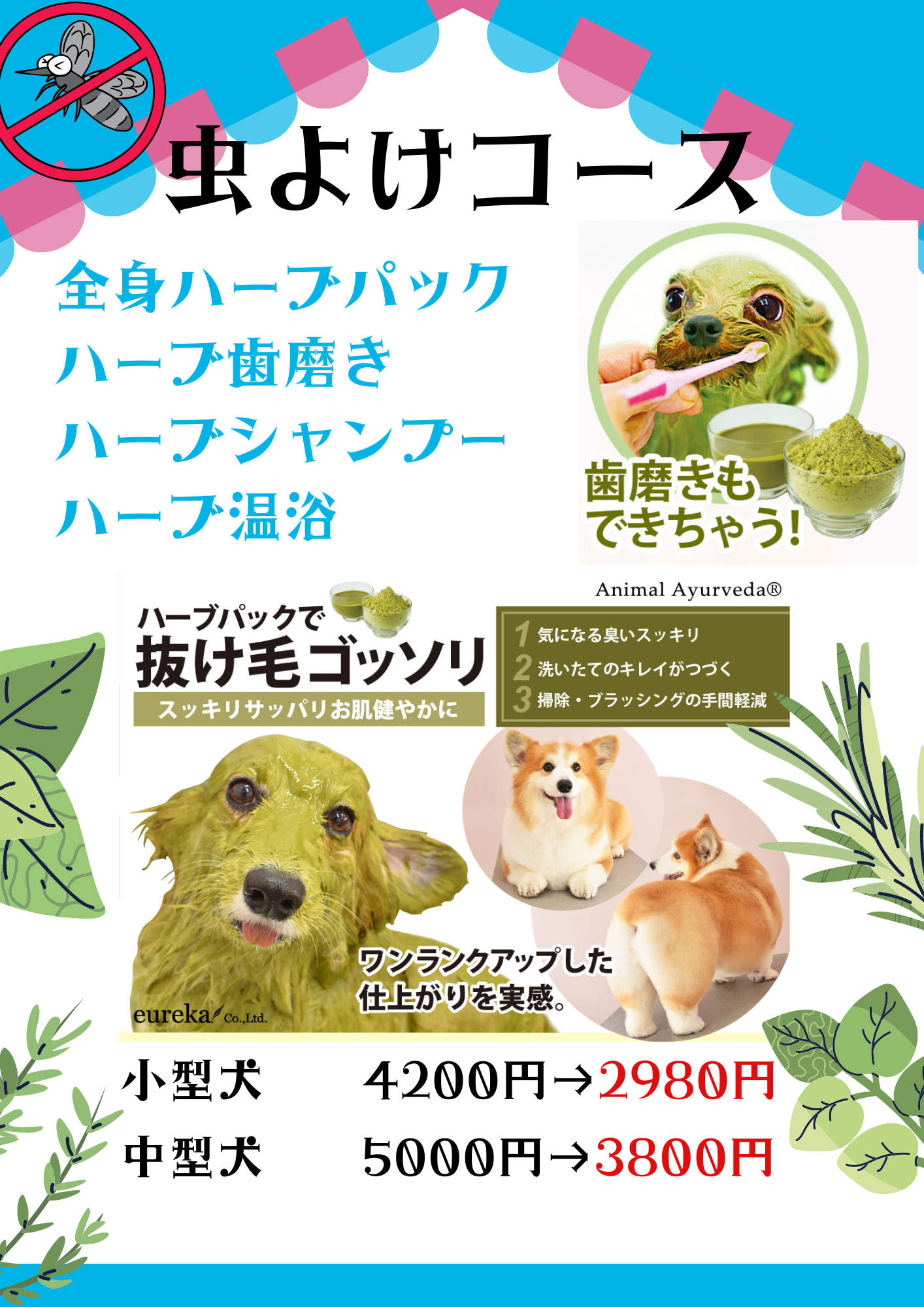 虫よけコース (9).png