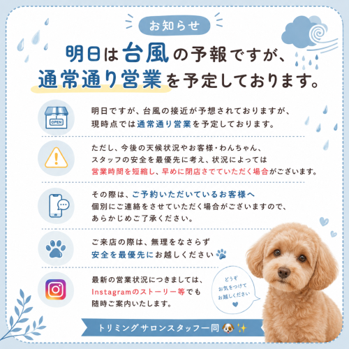 台風案内.png