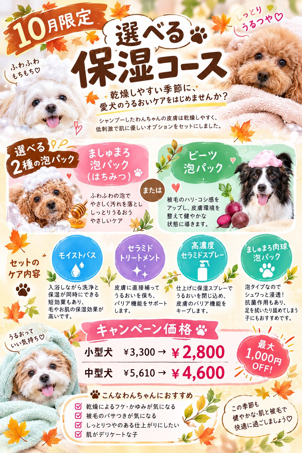S__33644551.jpg