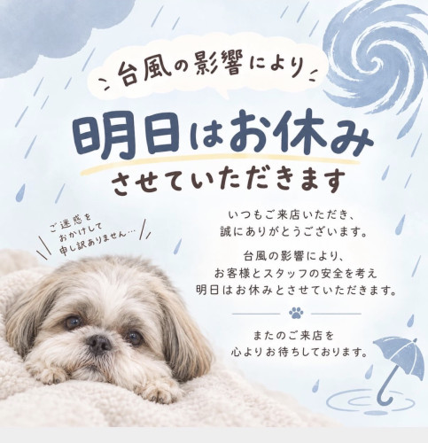 image0 (53).jpeg