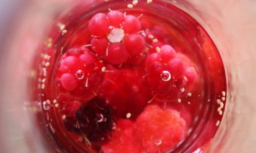 季節の果物から起こす自家製酵母＜ラズベリー酵母＞