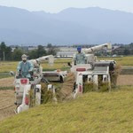 田植え2.jpg