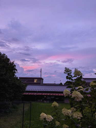 PXL_20250721_100938926.NIGHT~2.jpg