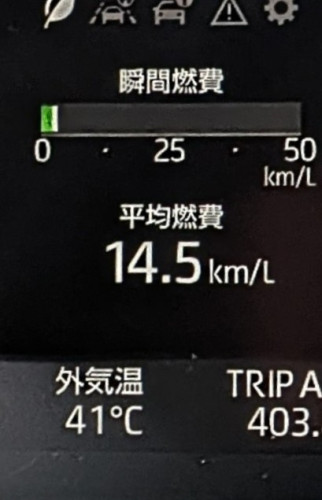 hebi.jpg