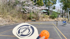 IMG20240407103418 (1).jpg