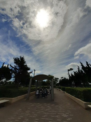 20220709_101641[1].jpg
