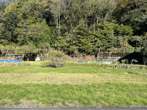 IMG_0586.jpeg
