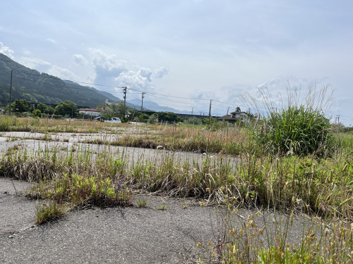 IMG_0822.jpeg