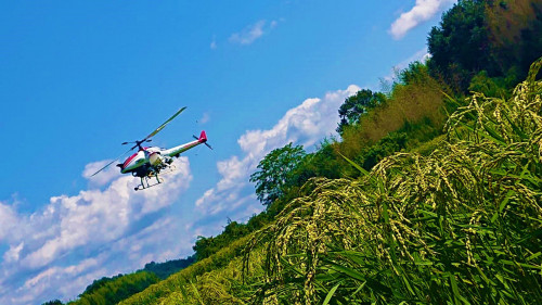 【農業】パワフルな無人ヘリで作業効率アップ！