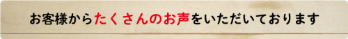 VOICE_title.png