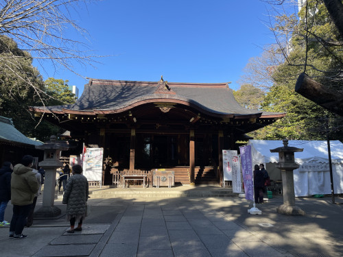 IMG_6205.jpeg