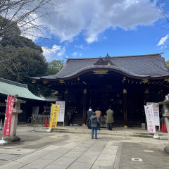 IMG_4732.jpeg