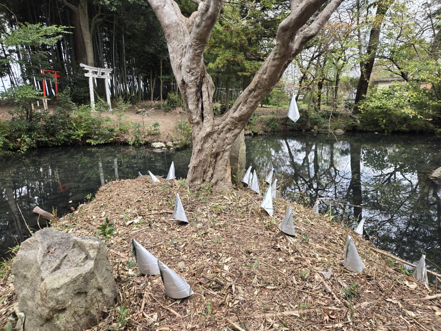浄厳院国際芸術祭　絶賛開催中!!