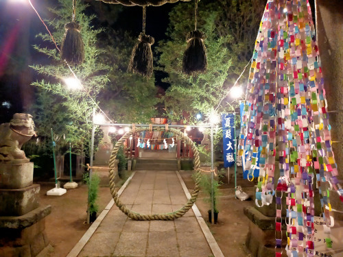 IMG20240705210534.jpg