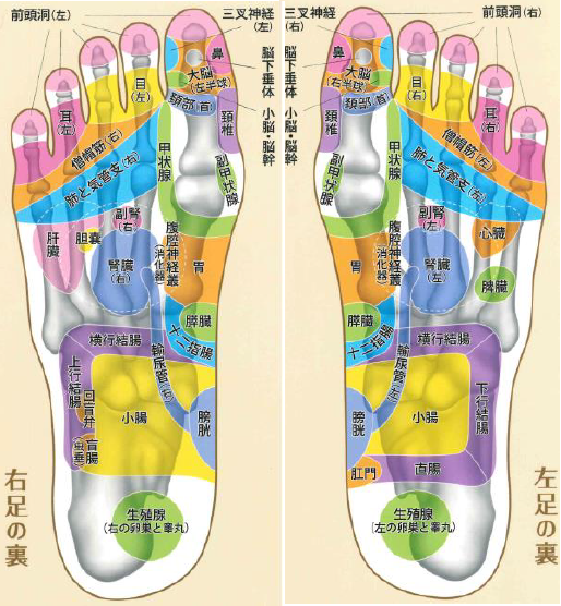 足つぼ効果について - フットケアげんき