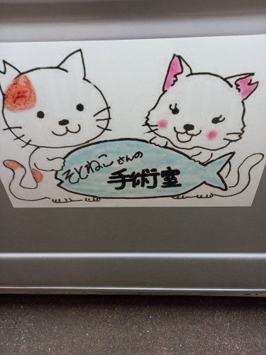 そとねこさん.jpg