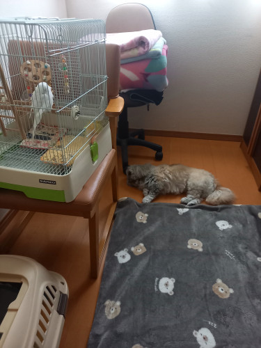 家宝１.jpg