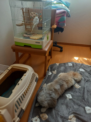 寝る.jpg