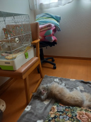 家宝４.jpg