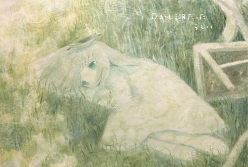 16mei個展『むかし湖だったらしい』 2月19日（日）～3月5日（日）