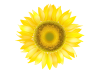 735270.png