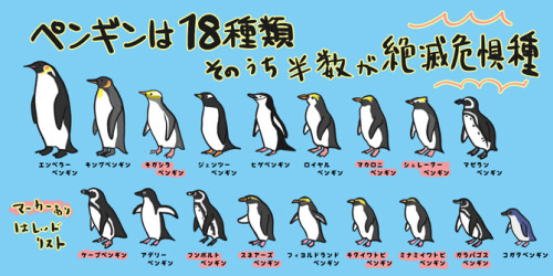 20220417_pengin_chishiki_4.jpg