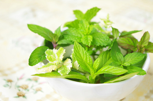 image_mint.jpg