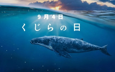 スクリーンショット_9-7-2025_152230_www.bing.com.jpeg