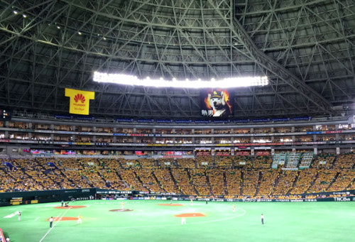 20150817_nn01.jpg