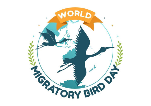 world-migratory-bird-day-on-may-8-illustration-with-birds-migrations-groups-in-flat-cartoon-hand-drawn-for-landing-page-templates-vector.jpg
