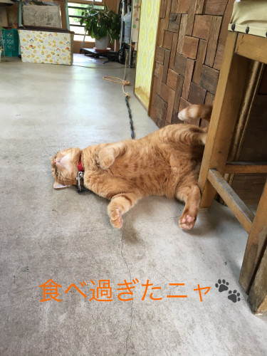 E66DFCD1-A51D-453D-AE9B-CD6D80829DBC.jpeg