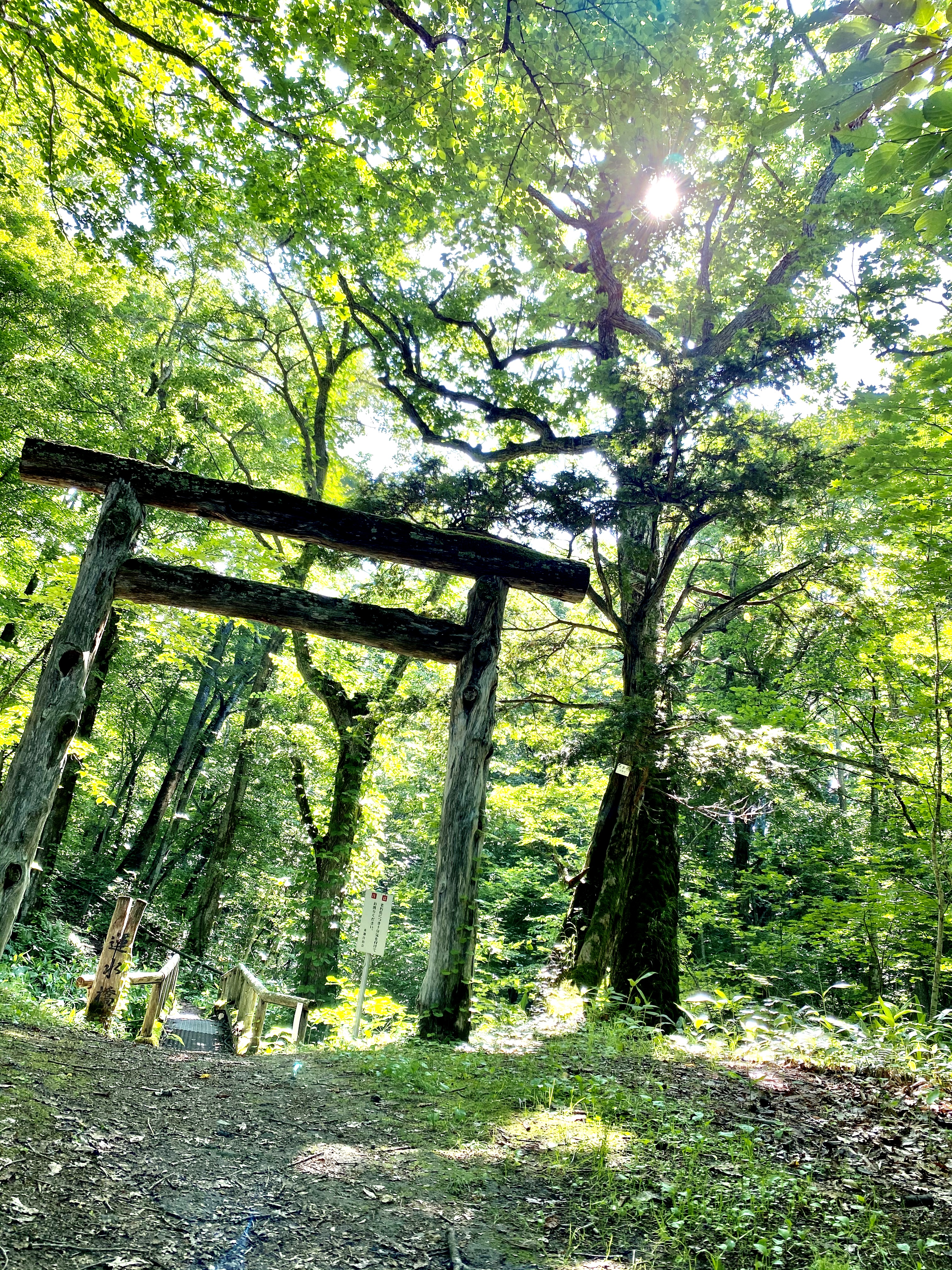 写真 フォトプロジェクト 5ページ 斜里町商工会青年部