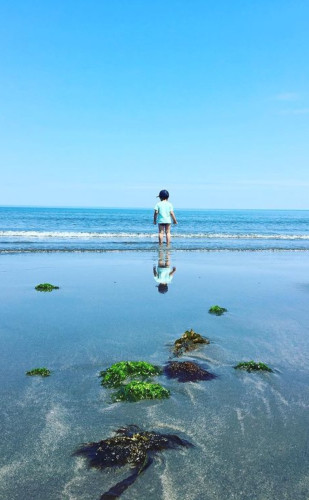 夏のおもいで (1)②.png