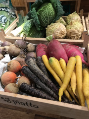 2017-09-22 12.50.42.jpg