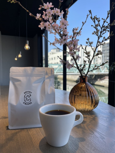 2025-03-26 09.22.57.jpg