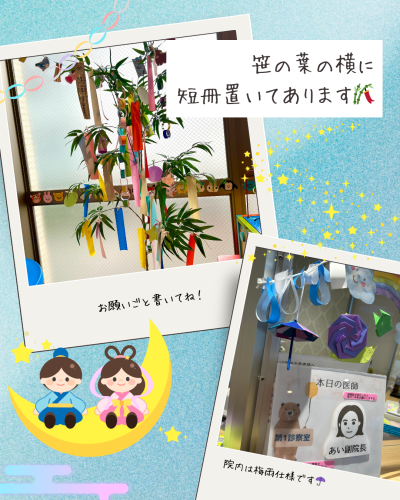 ちあきの日々写真.png.png