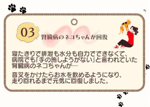 波動リーディング 申し込む (14).jpg