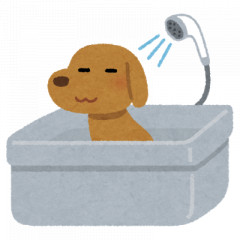 pet_dog_bath.png