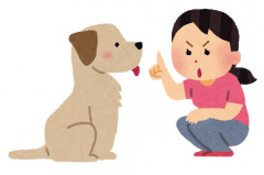 inu_shitsuke.jpg