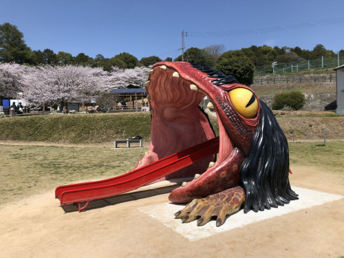 IMG_0358.jpeg