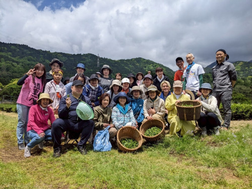LINE_ALBUM_2025.5.5    茶摘み・工場見学研修_250507_1.jpg