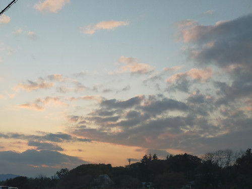 IMG20221115162728.jpg