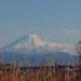 DSC_2499.jpg