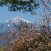 DSC_1772.jpg