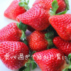 png_20220102_124012_0000.png