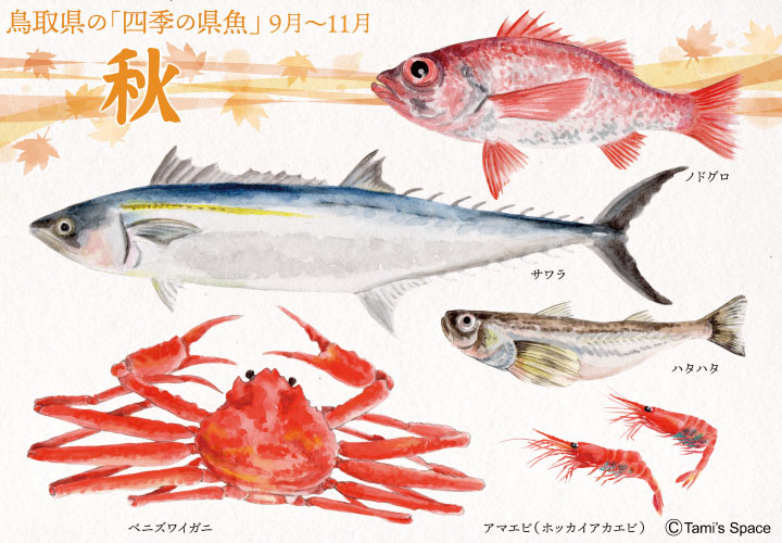 四季の県魚パネル展示のご案内
