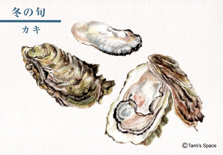 冬の旬_-カキ.jpg