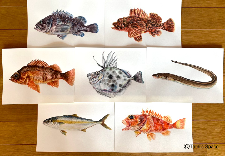 境港の旬描きました