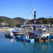 DSCN4622.JPG